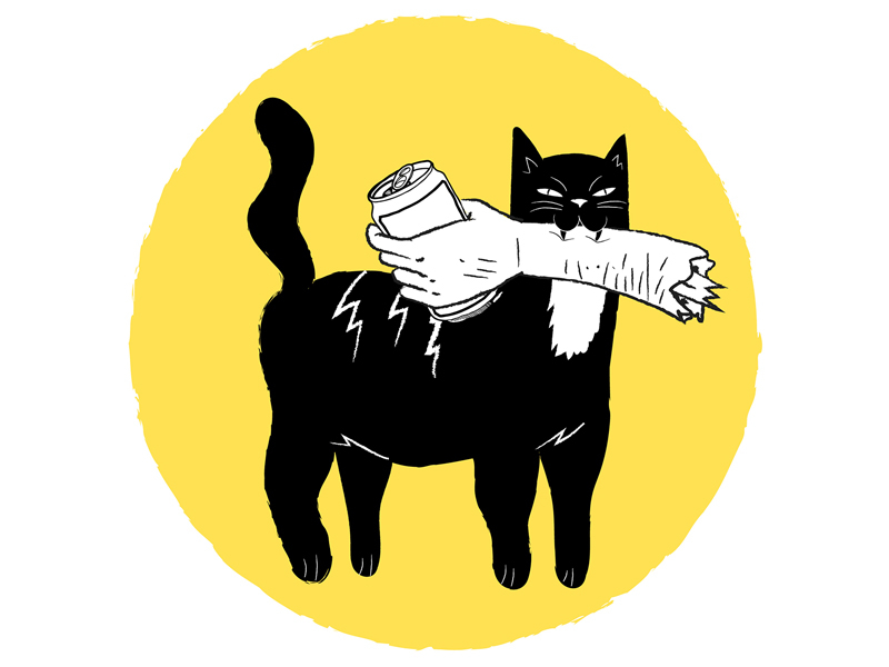 cat-dr